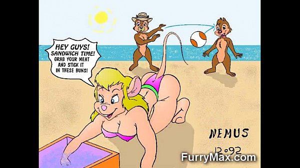 Furry Toons Love Cocks!